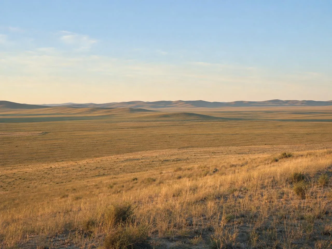 Soft morning light across the steppe grassland